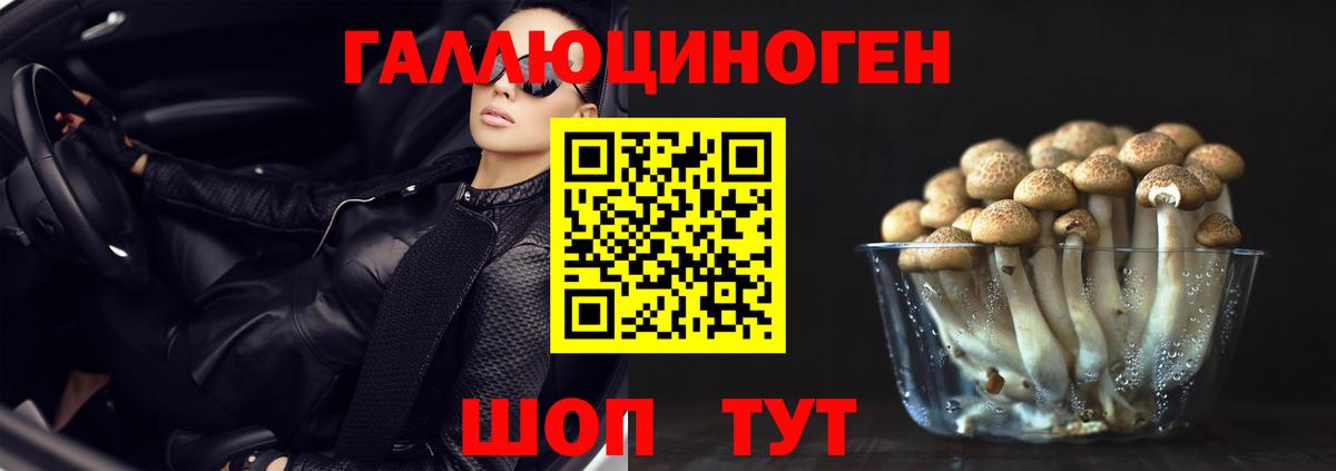 Галлюциногенные грибы Psilocybe Магнитогорск